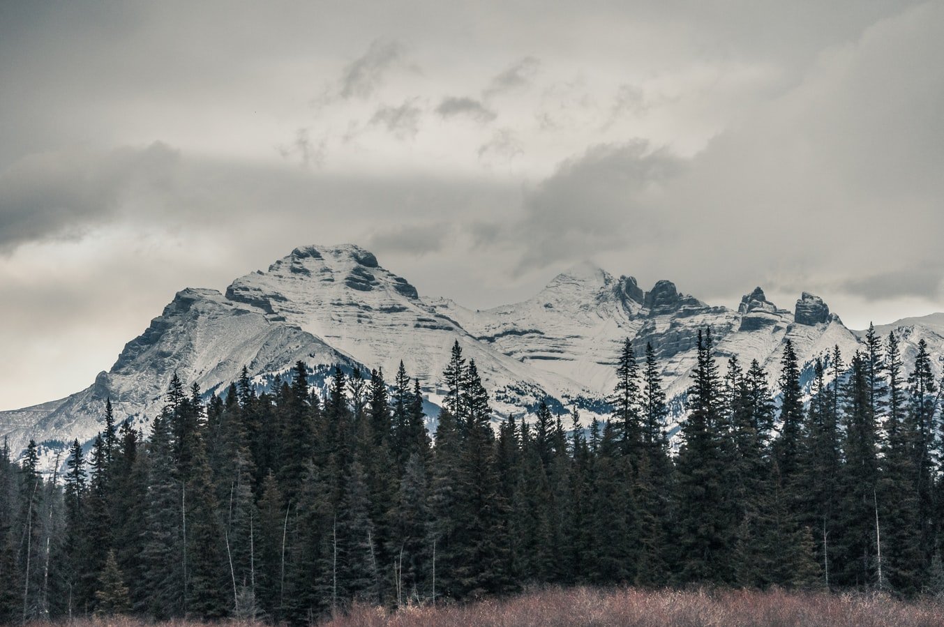 Stopped in our tracks! - A Canadian Rockies Adventure with Stefanie N.