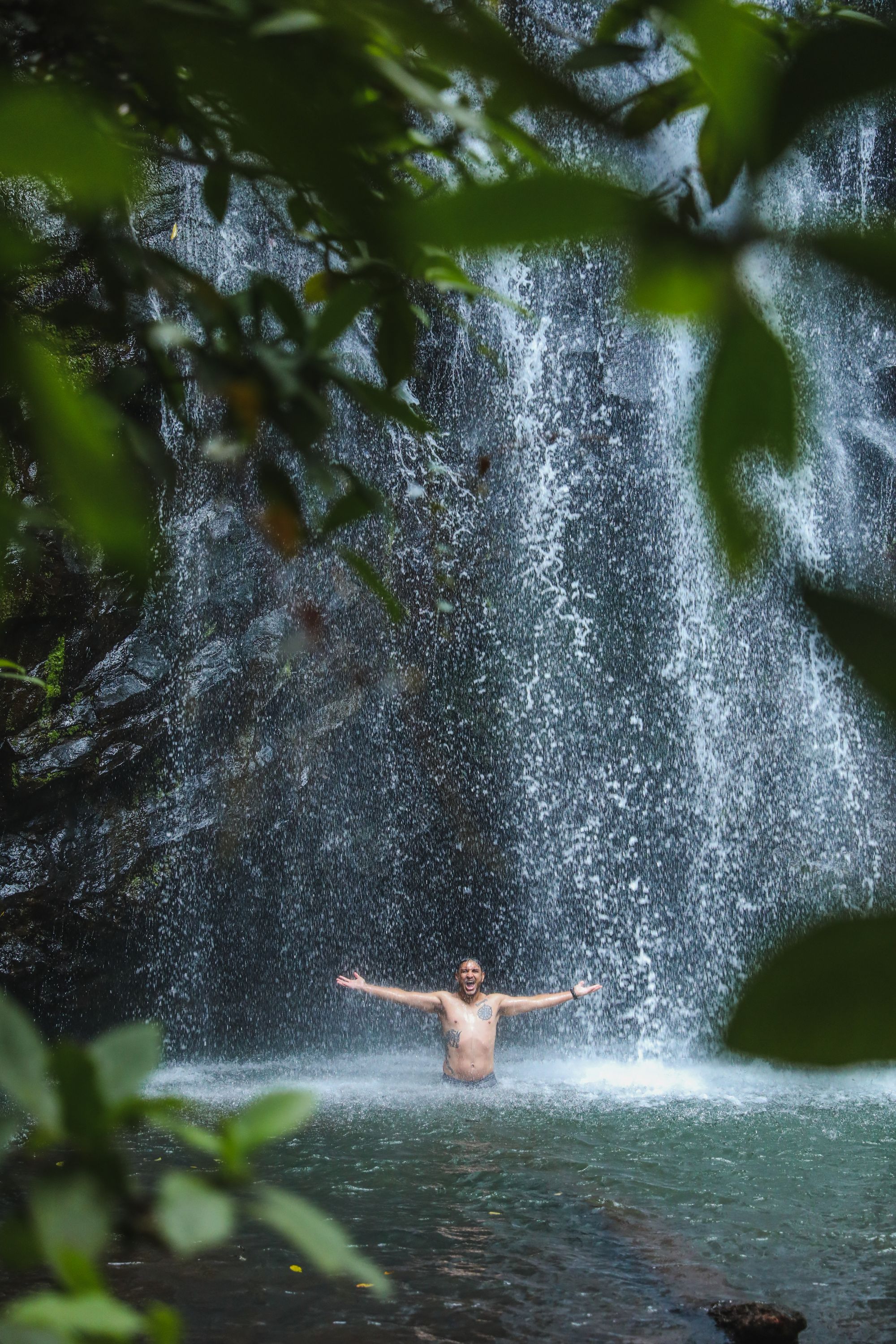 Why Tropical North Queensland is the perfect place to live.