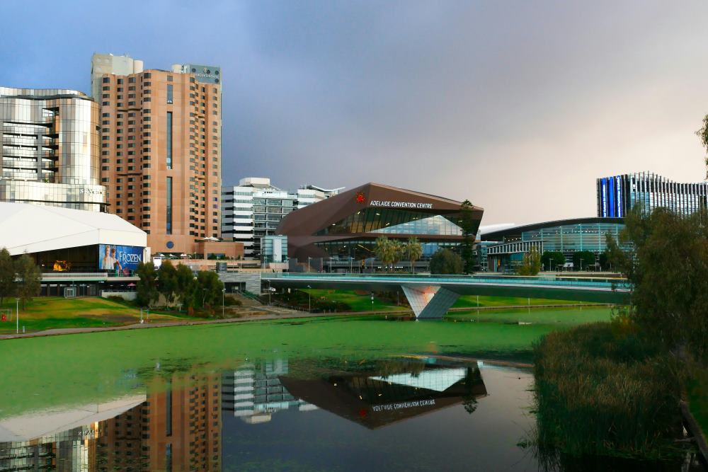 tall building and brown structure stadium with pond in front