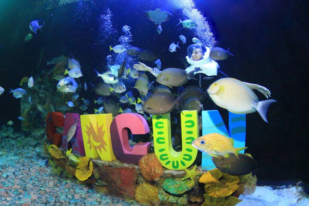 woman inside the aquarium swimming with fishes- Best Things to Do in Cancun Mexico