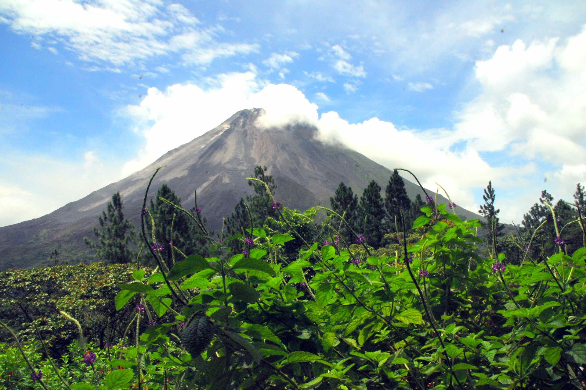 5 Reasons You Need to Volunteer in Costa Rica!