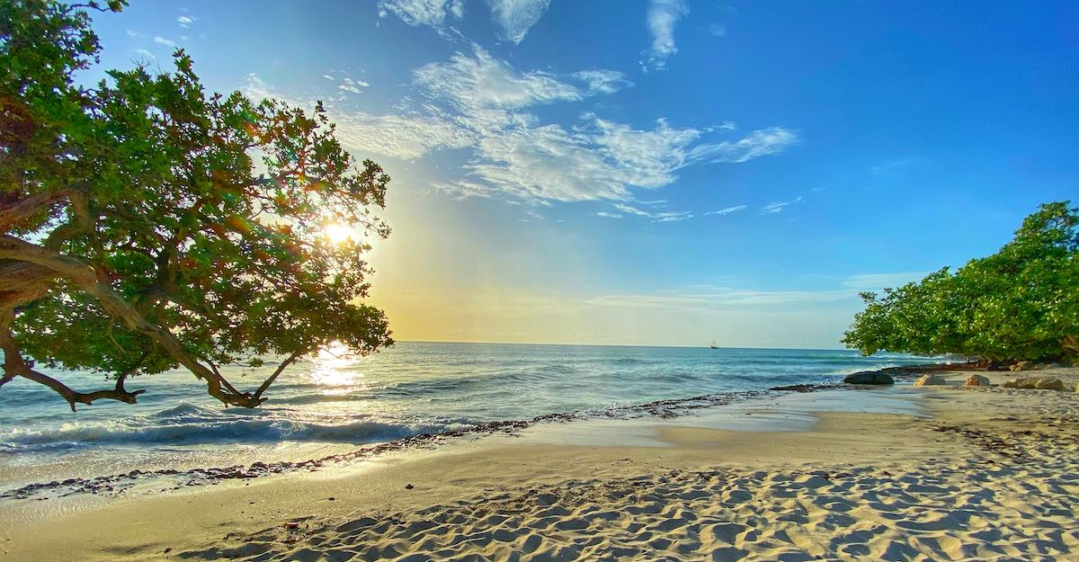 things to do in aruba - atv