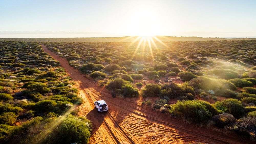 car strolling in a field with trees around