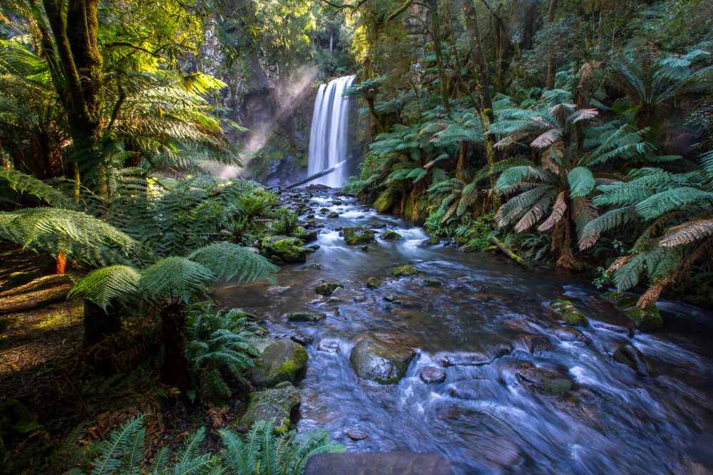 waterfall inside forest surrounded by green plants and trees