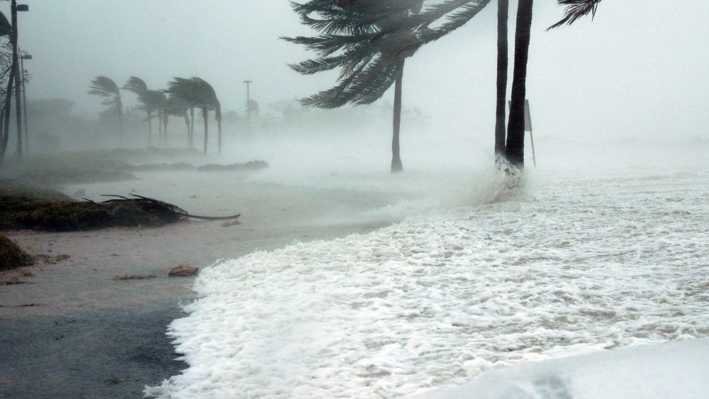 bad weather with strong wind blowing the palm trees and ocean - is australia safe?