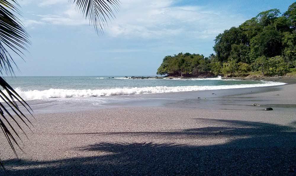 front view of the Montezuma Beach, Nicoya Peninsula with waves with blue sky background and palm treee shadows