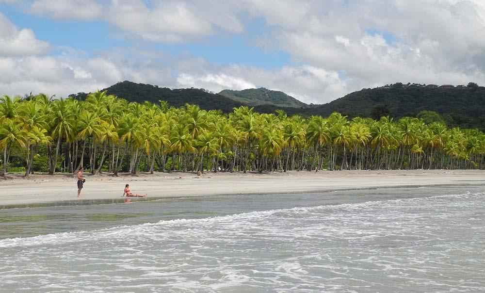 The wide sunny beach, gentle waves, and plenty of almond and palm trees at the Playa Carrillo, Nicoya Peninsula
