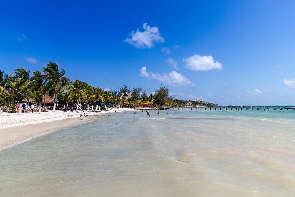side view of the windy beach with a lot of coconut trees and people in the seaside