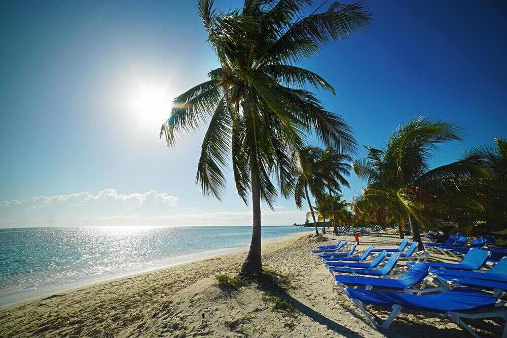 blue beach beds under the green coconut trees in front of the beach