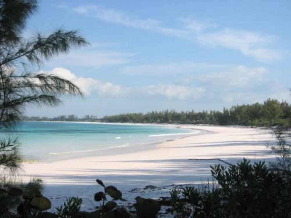 blue beach, white sand and trees surrounded at the French Leave Beach