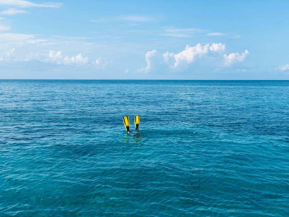 people diving in the ocean that shows only the yellow flier at the Great Guana Cay