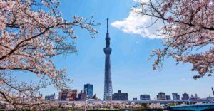 best things to do in Tokyo