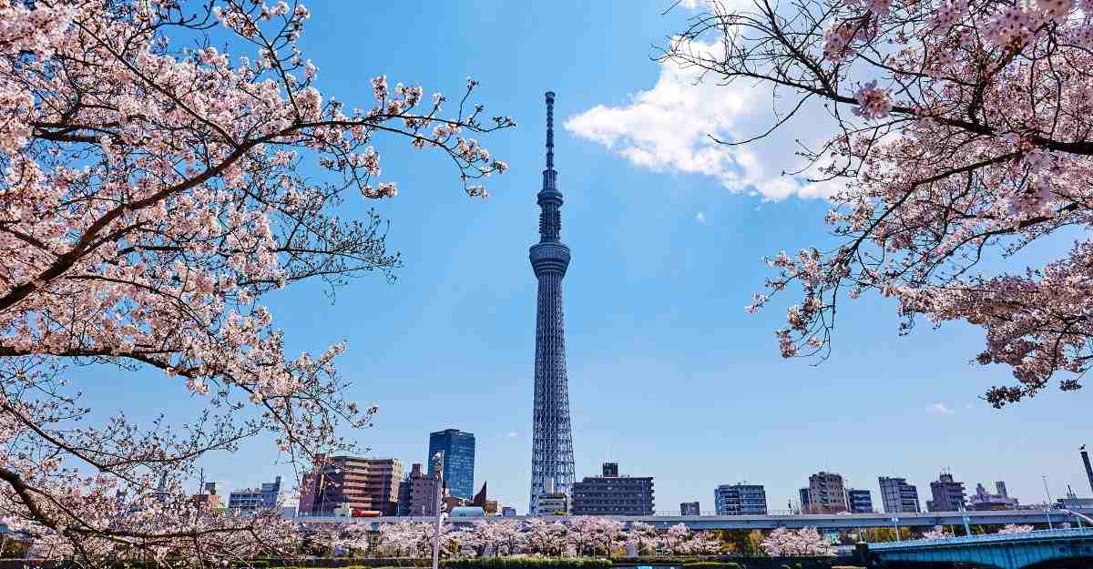best things to do in Tokyo