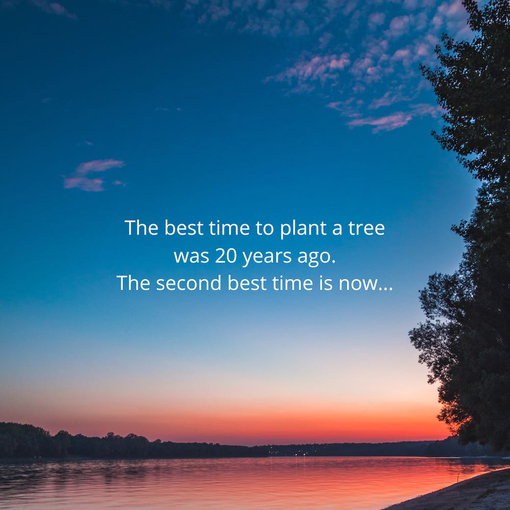 best time to plant a tree quote image - how to travel the world