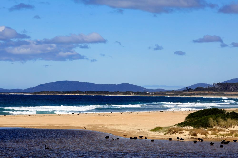 image of a calm ocean - Best Beaches in Australia