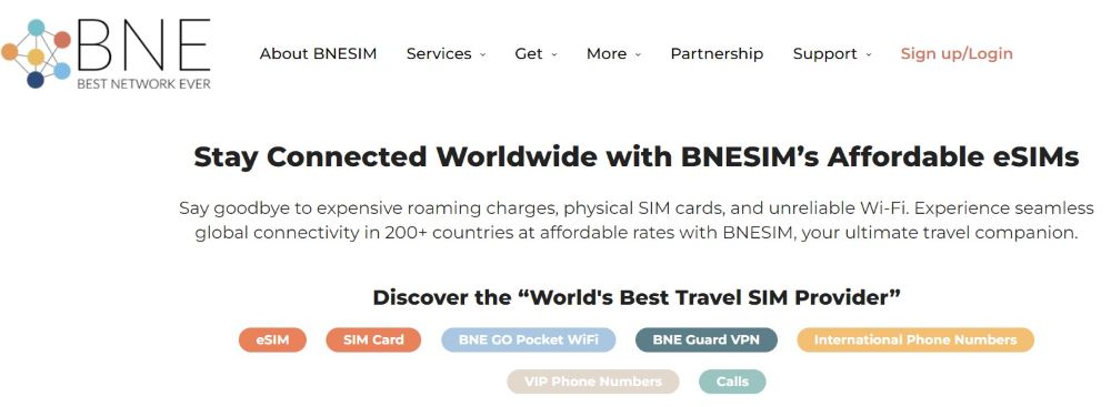 screenshot of BNESIM website