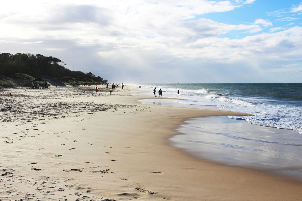 people at the beach during daytime - Best Beaches Near Brisbane