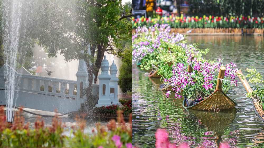 white small bridge over the water and flowers over the water in a park- things to do in chiang mai