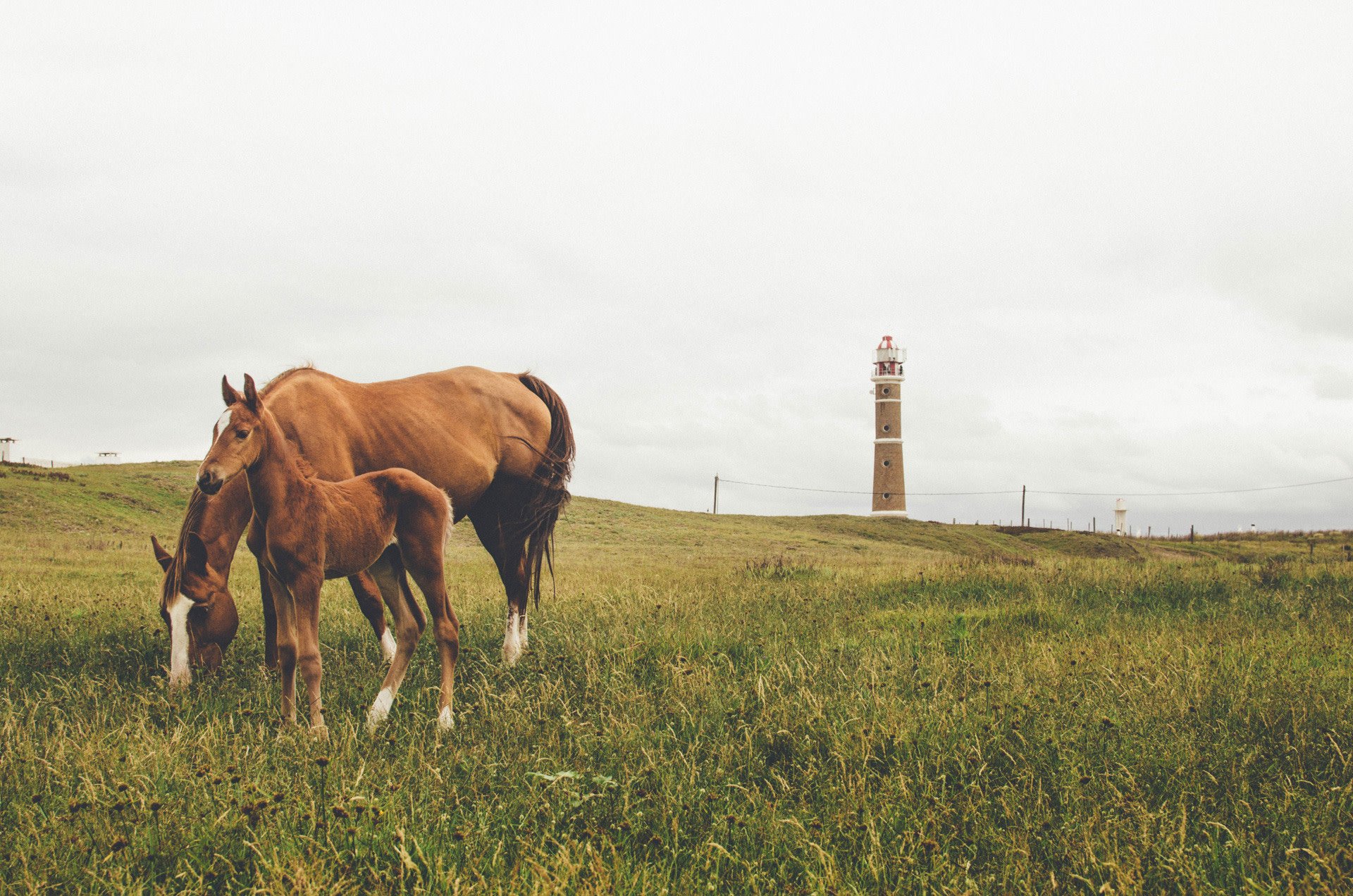 Insider South America Series, Chapter 4: A quick detour to Uruguay