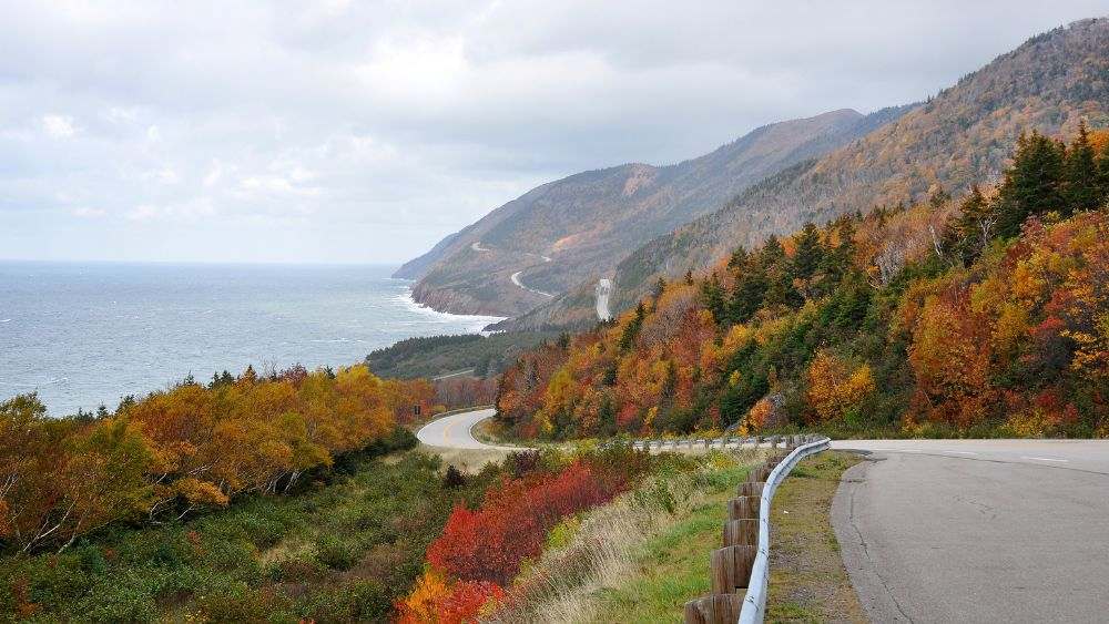 empty highway with lushy mountain on the side and ocean and on the other side - Best road trips in the world