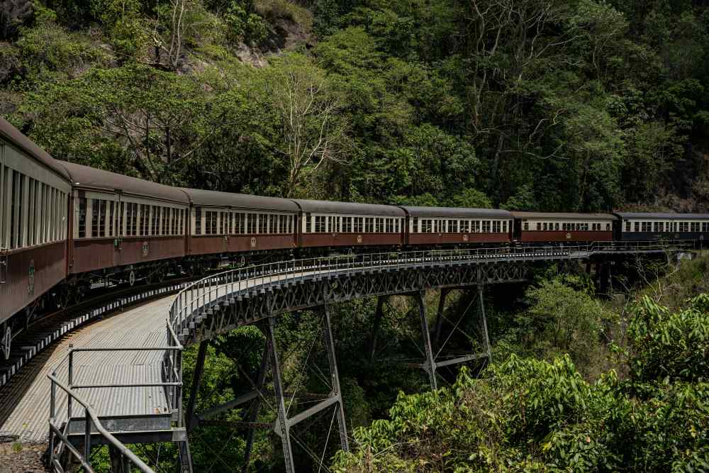 brown trains passing by the forest