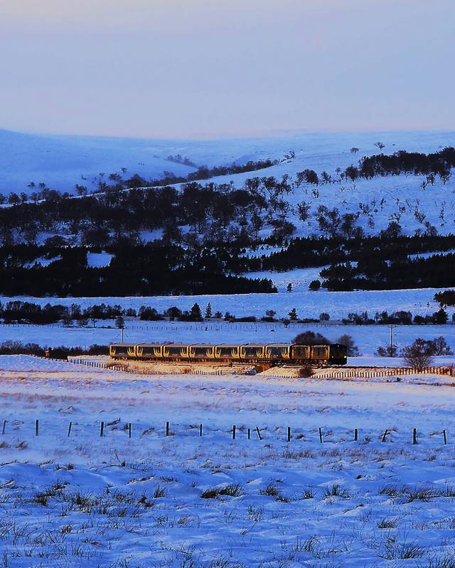 train in the middle of open space full of snow