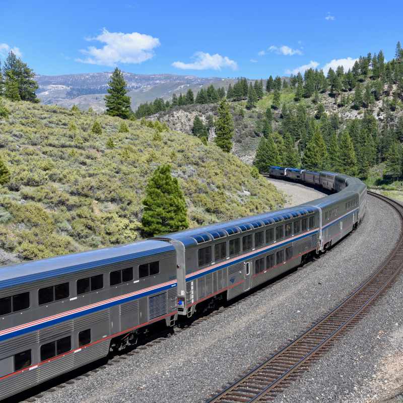 silver train in the middle of trees and hill