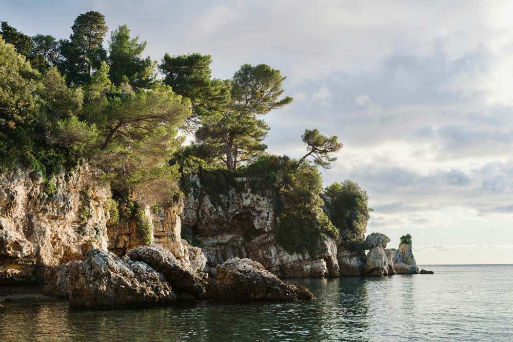 rock formation full of green trees on side of the ocean -Best Things to Do in Antibes