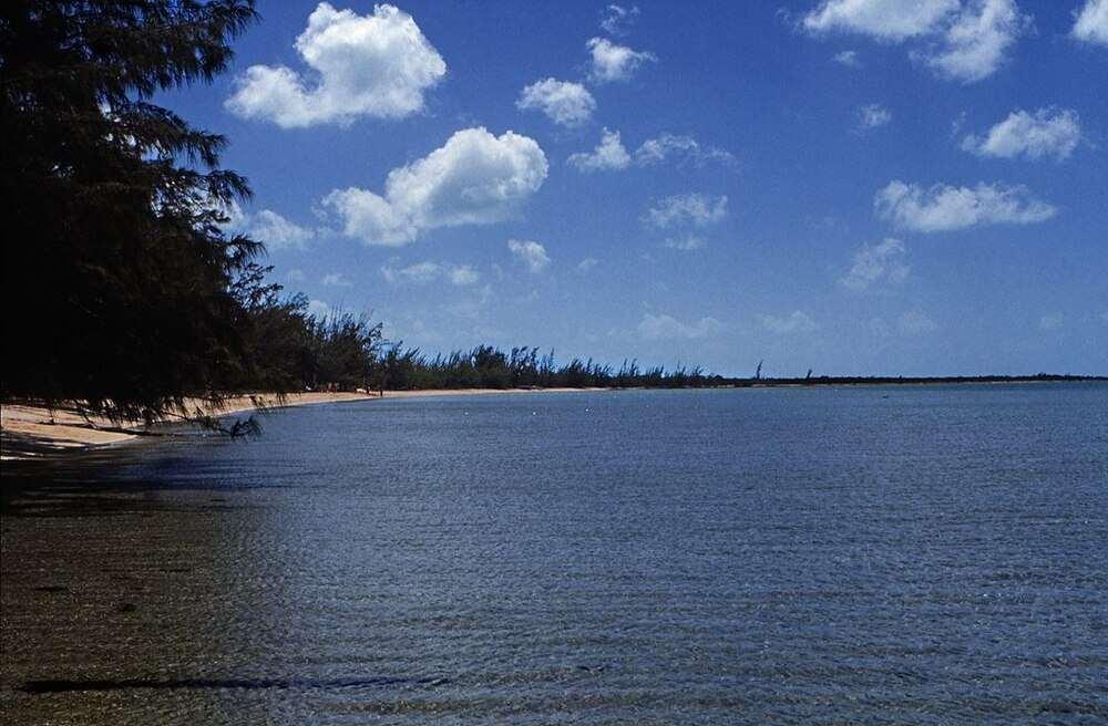 Beach with green trees on the seashore at Cape Santa Maria Beach