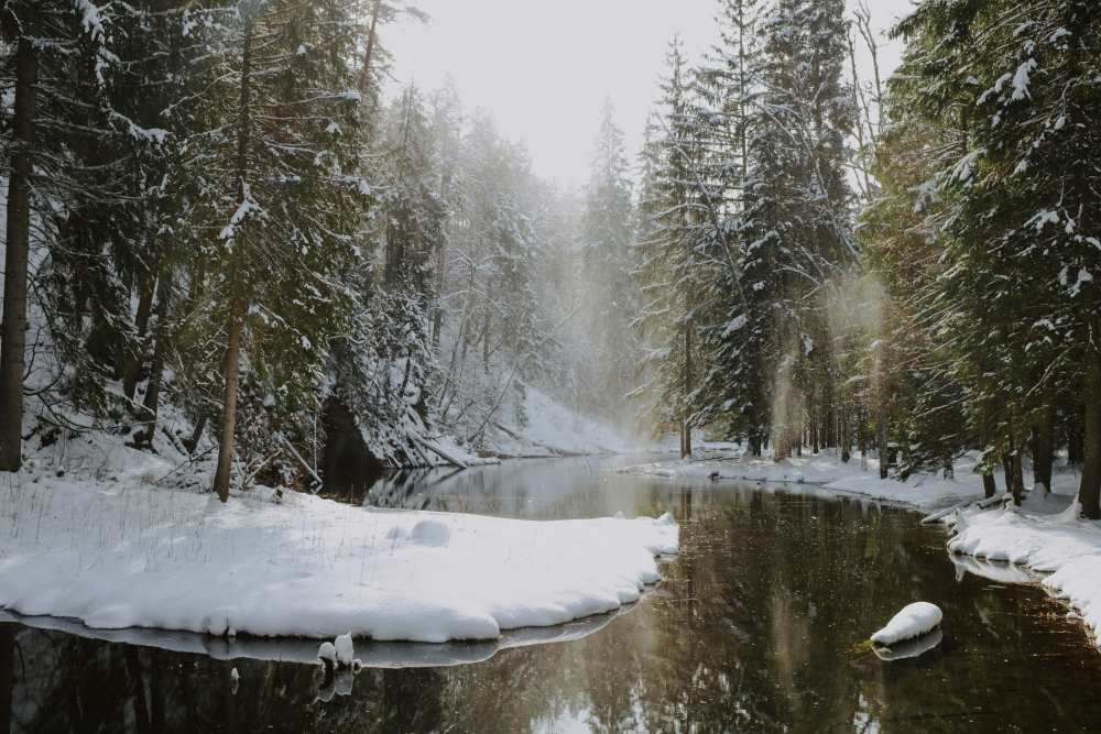 river in the middle of the forest with snow