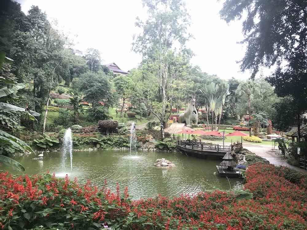Pond in the middle of a park surrounded my different plants and trees