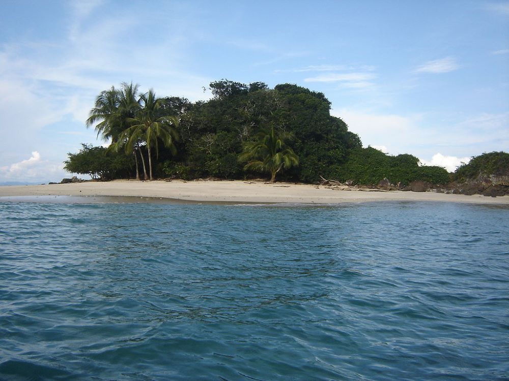 an island filled with green trees near the beach