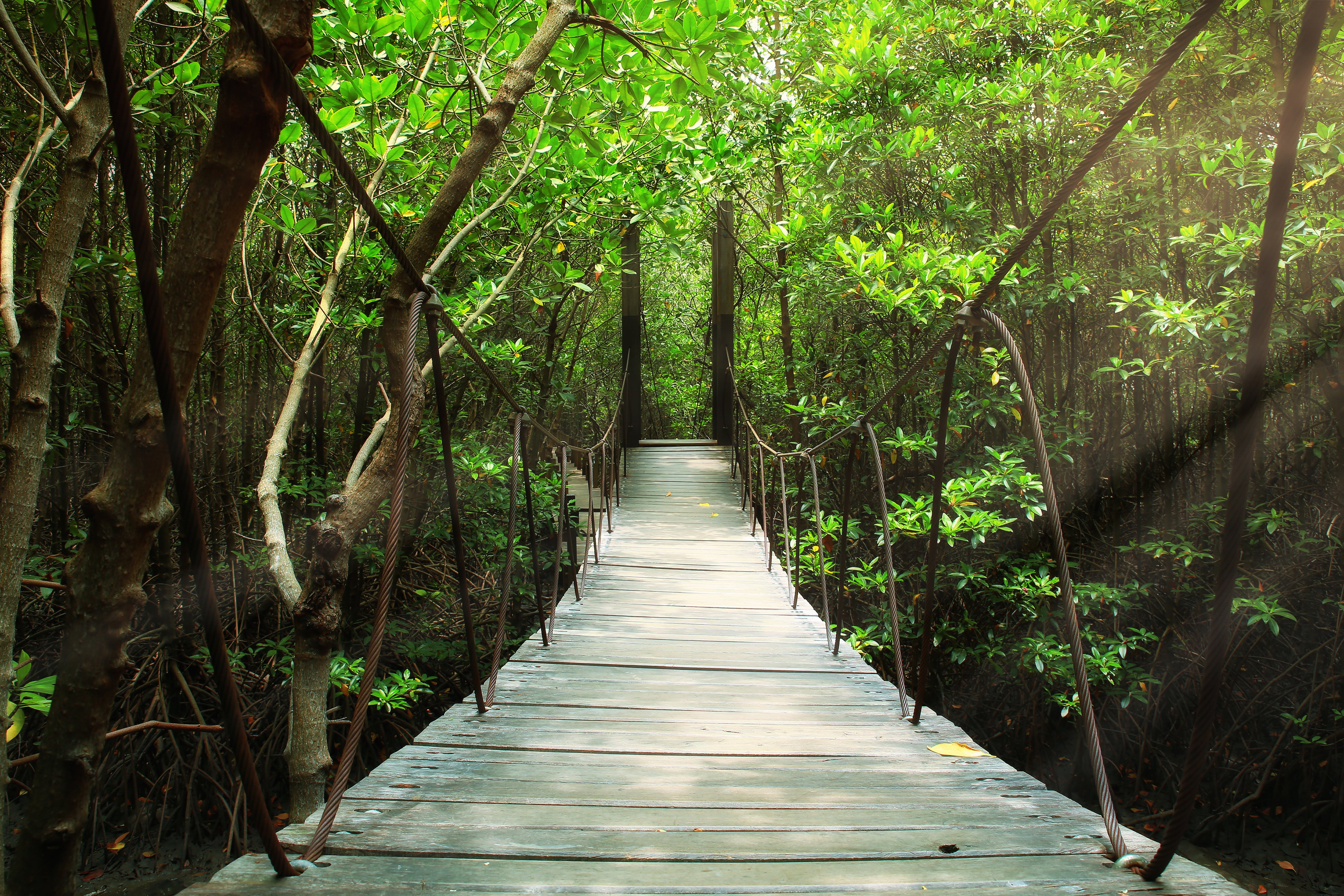 Costa Rica Blog feature 