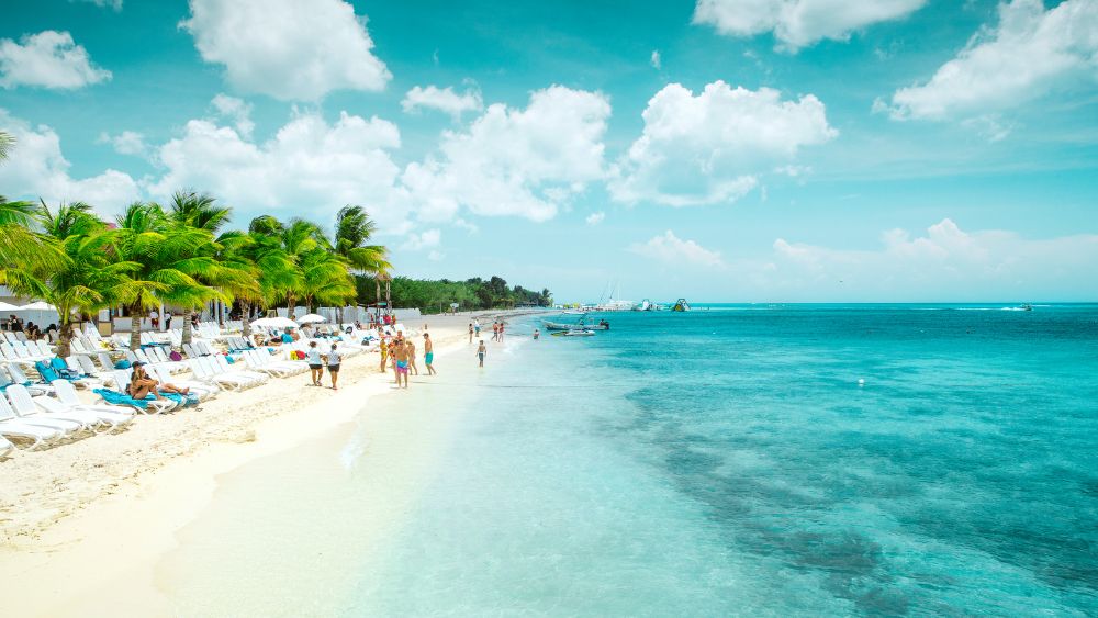 turquoise beach with palm trees and people walking around the shore