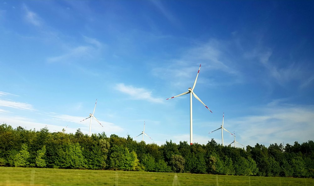 white windmill in the middle of the field surrounded by trees