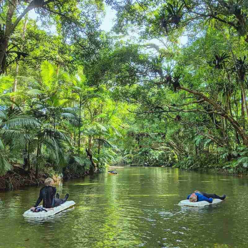 two people sailing in body of water surrounded by green trees