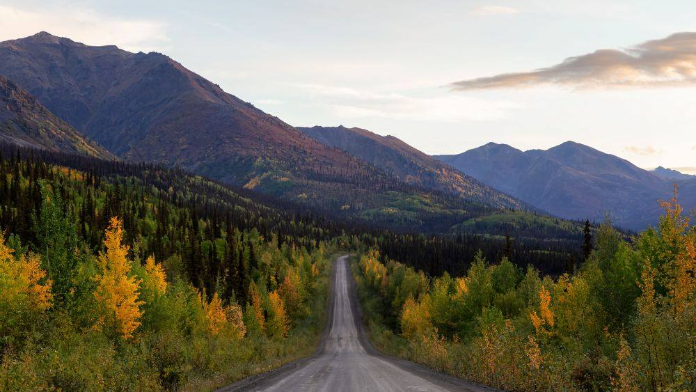 road surrounded by trees and plants and mountain in front - Best road trips in the world