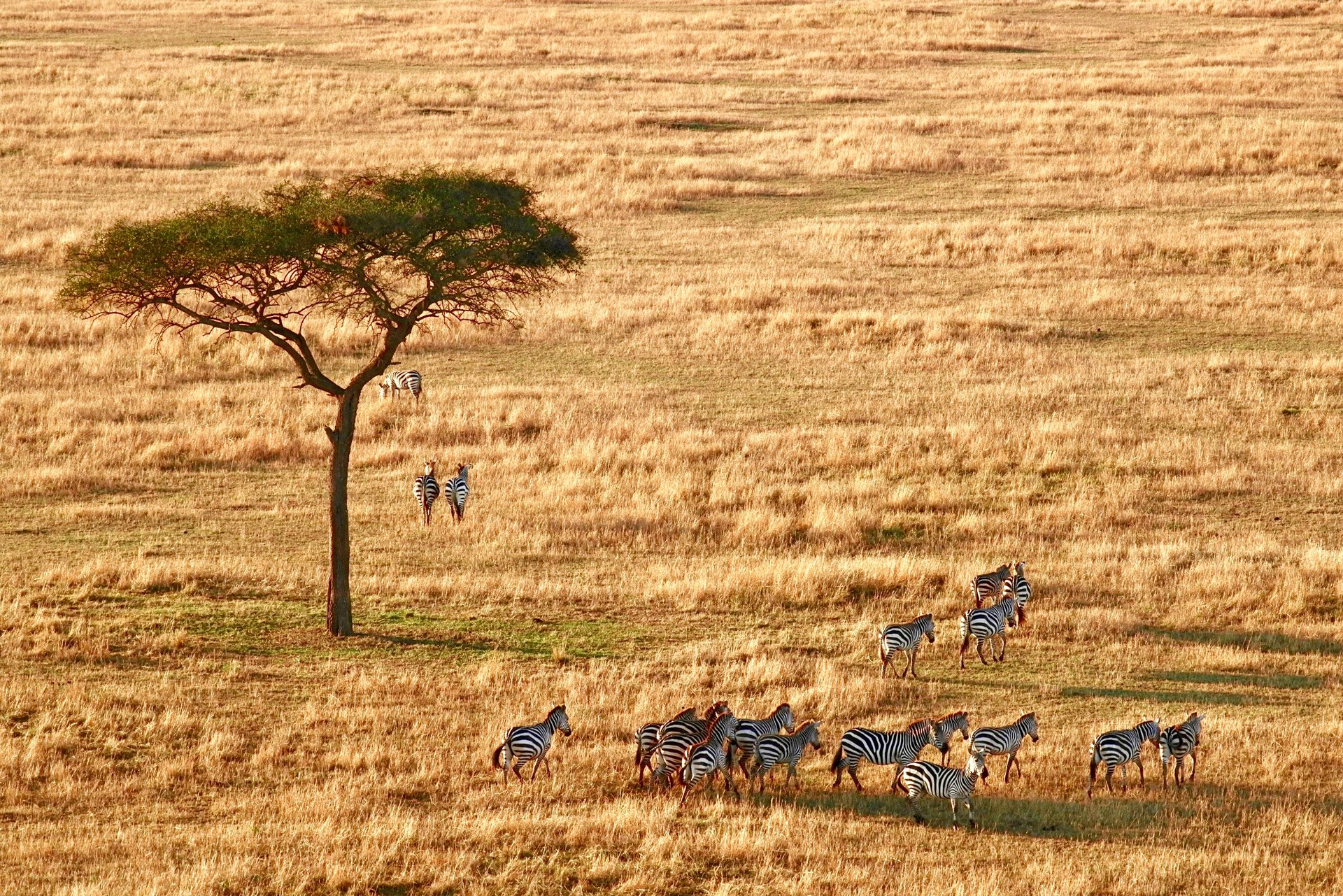 destination-review-south-africa-2
