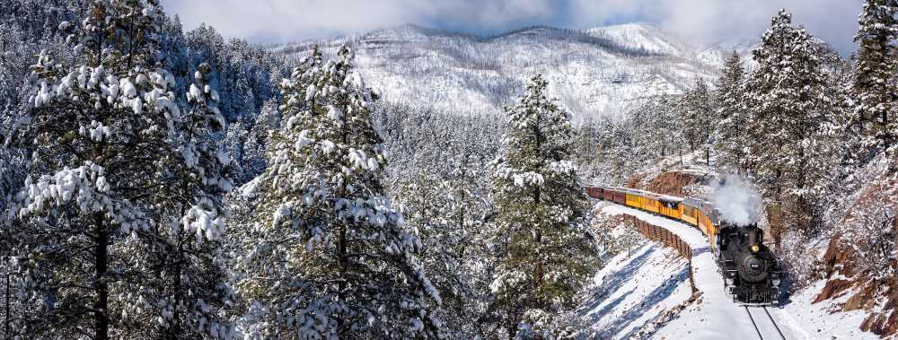 black and yellow train making it way in the middle of the road surrounded by trees full of snow