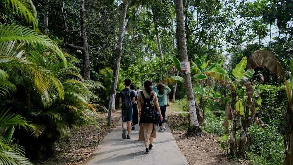 people walking in a path surrounded by green trees