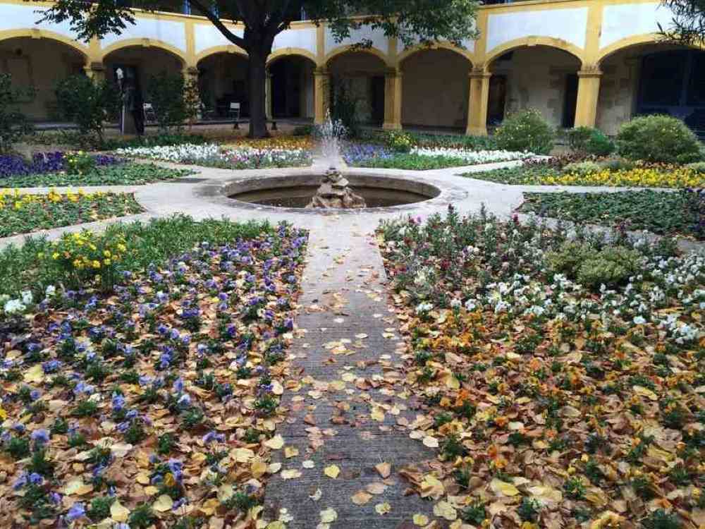 colorful and flowers around a fountain