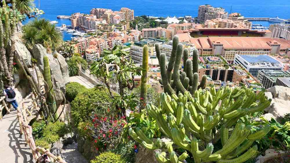 Perched on a cliff showing vast collection of succulent plants and cacti and offers spectacular views of the city and the coastline.  - Things to do in Monaco 
