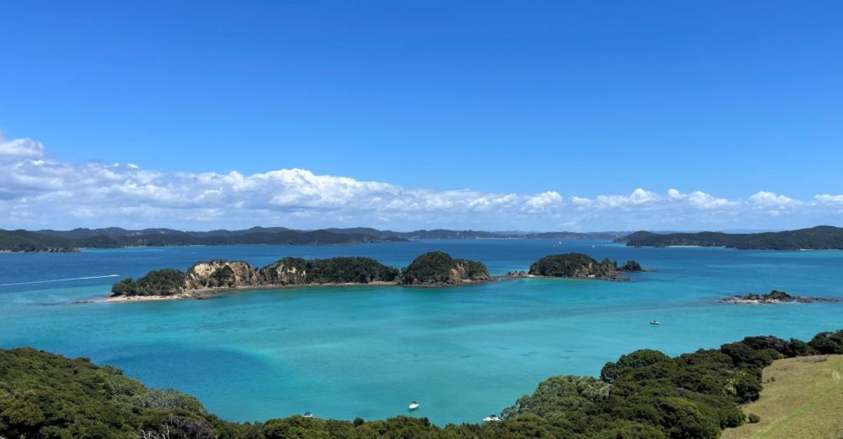 The Ultimate Northland New Zealand Road Trip Itinerary