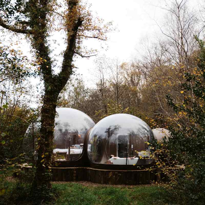transparent bubble domes in the middle of the forest