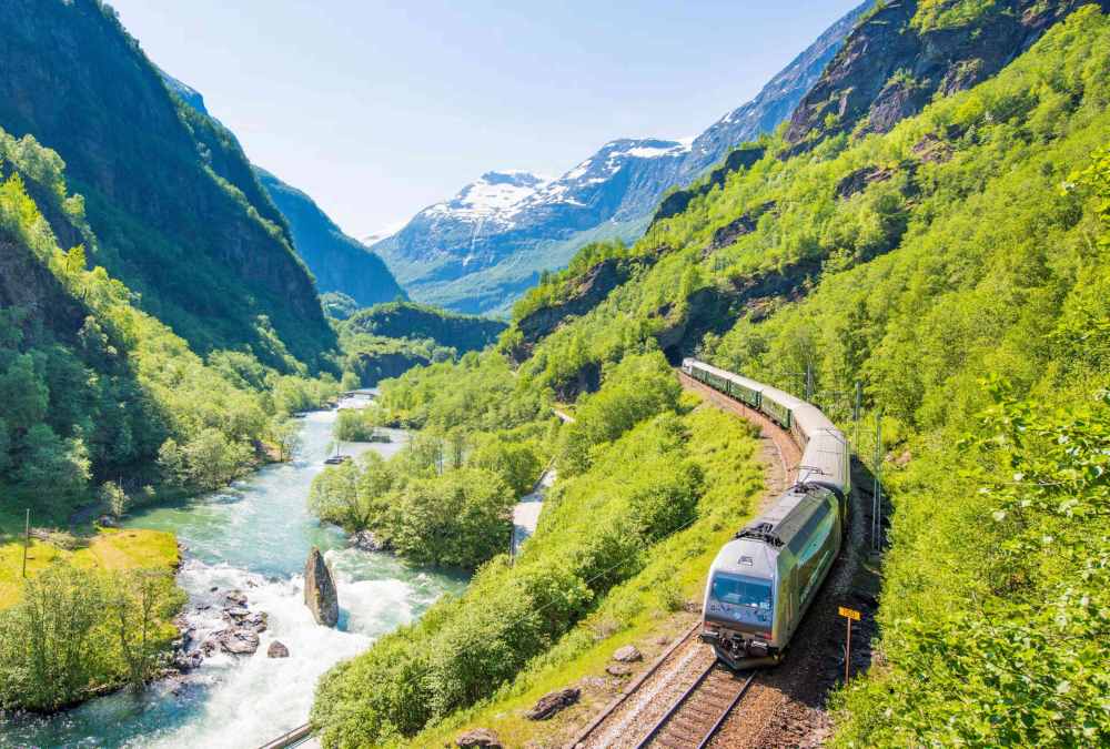 aerial view of train passing by railway surrounded by green trees and beside river - most beautiful train rides in the world