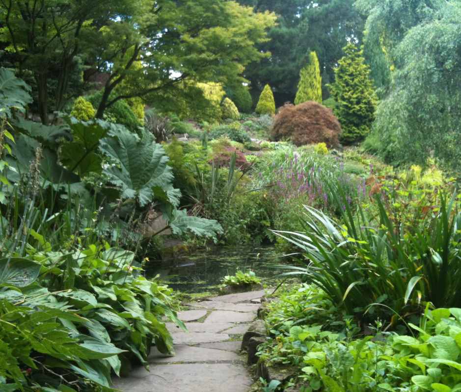 plants and trees with small pond in the middle