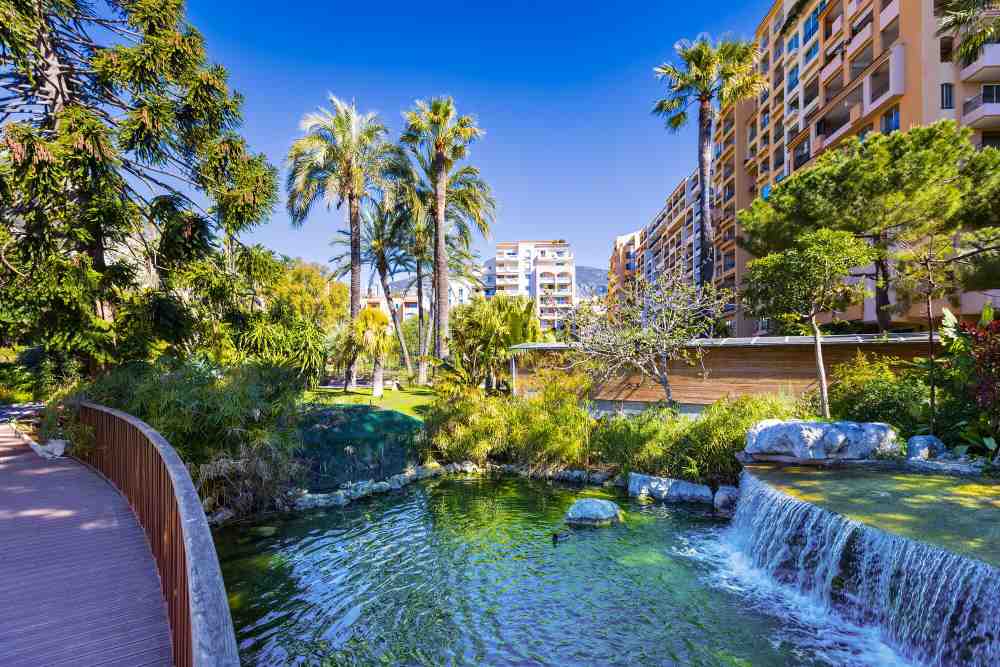 pond in the middle surrounded by plants and green trees