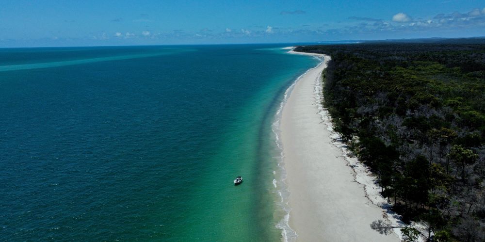 aerial view of a ocean near the forest
