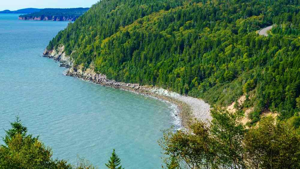 top view of a forest near the ocean - Best road trips in the world