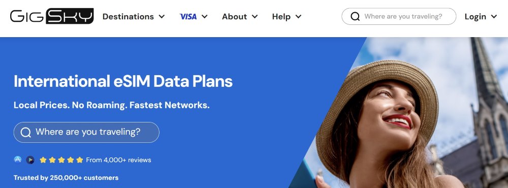 screenshot of GigSky website